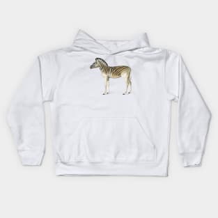 Vintage mountain zebra-animalia Kids Hoodie